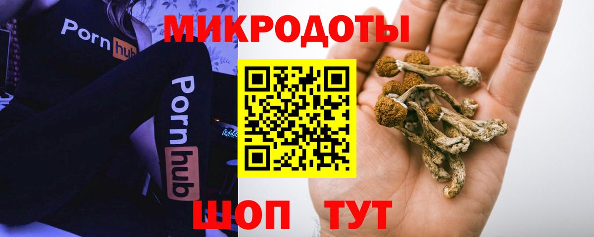 что такое   Галлюциногенные грибы Psilocybe  Карпинск  Вход с VPN  Галлюциногенные грибы MAGIC MUSHROOMS 