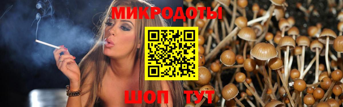 Галлюциногенные грибы прущие грибы Карпинск